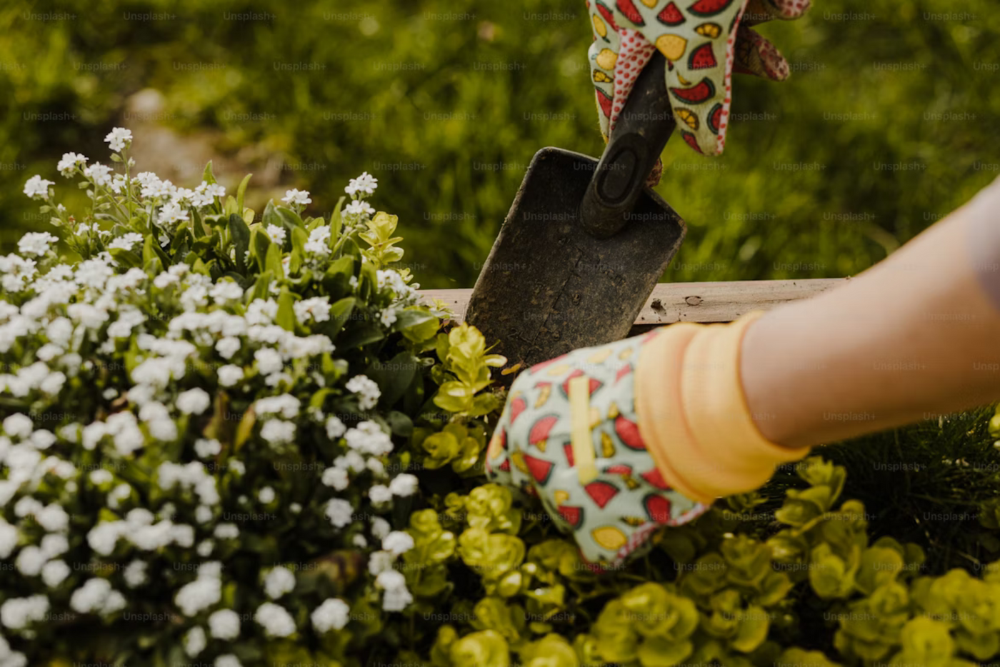 Jardinage