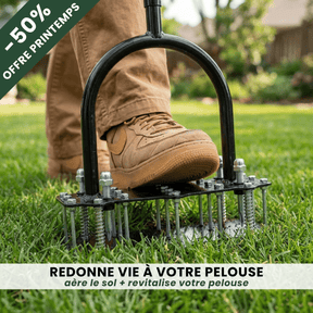 Aérateur de pelouse 2-en-1