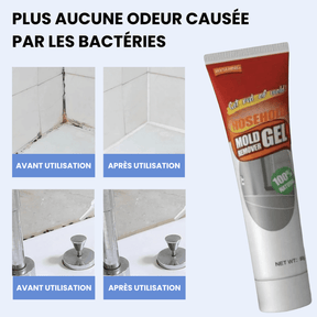 Gel Nettoyant Maison Anti-Moisissure