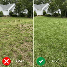 Aérateur de pelouse 2-en-1