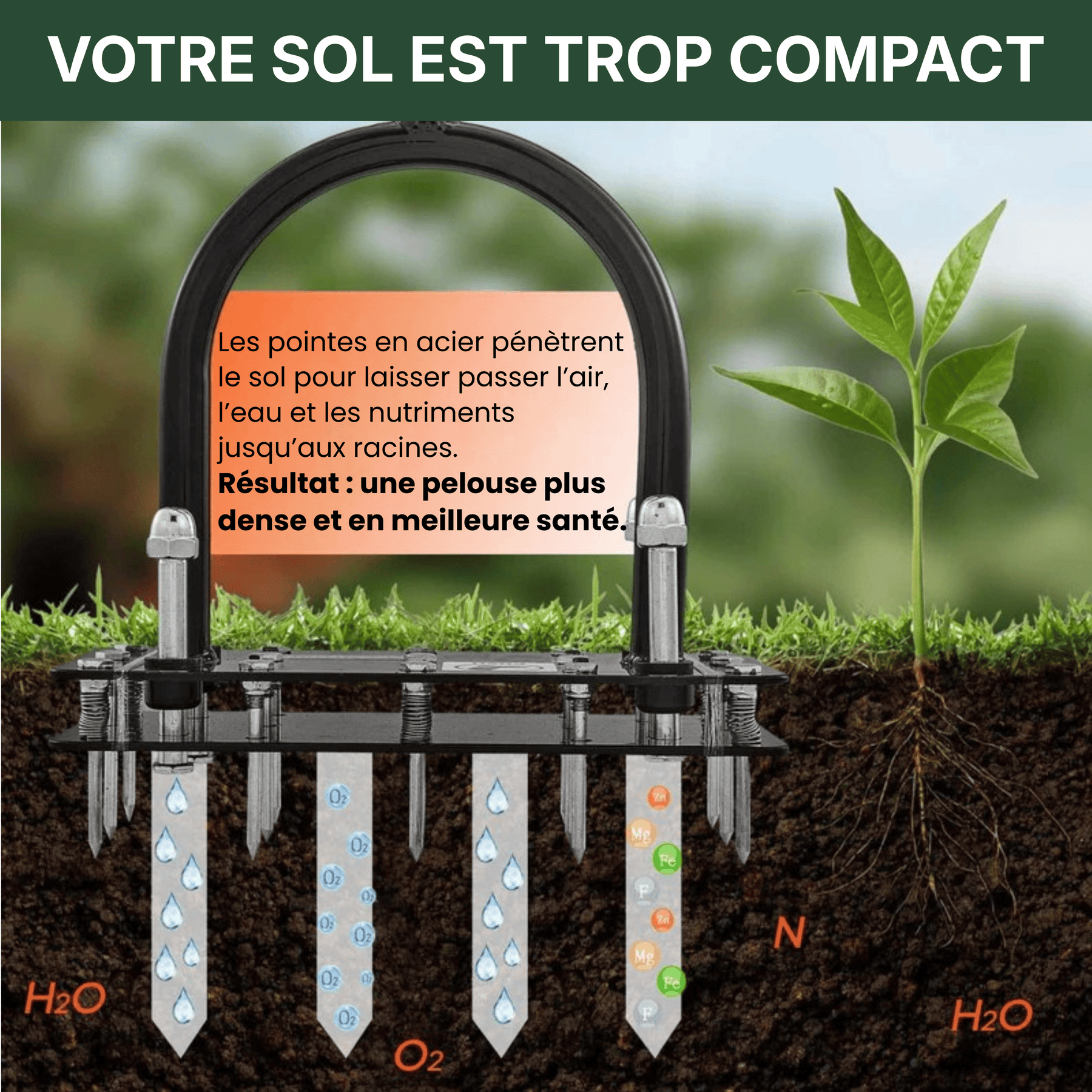 Aérateur de pelouse 2-en-1