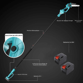 Tronçonneuse sans fil 2 en 1 avec perche